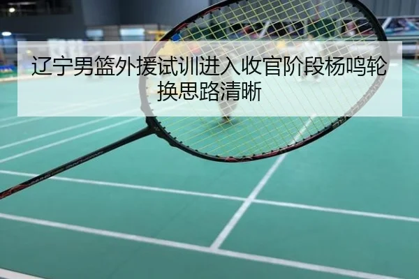 辽宁男篮外援试训进入收官阶段杨鸣轮换思路清晰